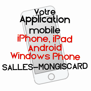 application mobile à SALLES-MONGISCARD / PYRéNéES-ATLANTIQUES