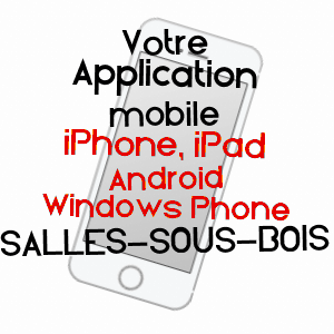 application mobile à SALLES-SOUS-BOIS / DRôME