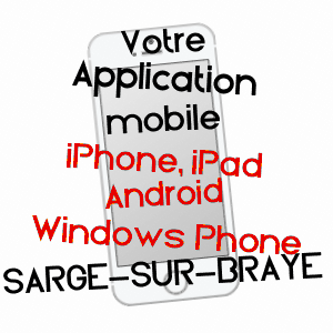 application mobile à SARGé-SUR-BRAYE / LOIR-ET-CHER