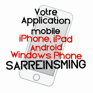 application mobile à SARREINSMING / MOSELLE