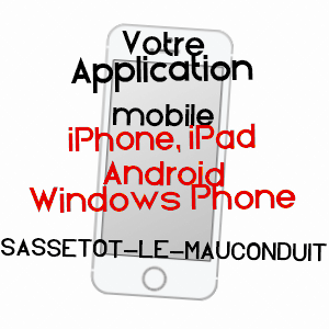 application mobile à SASSETOT-LE-MAUCONDUIT / SEINE-MARITIME