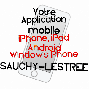 application mobile à SAUCHY-LESTRéE / PAS-DE-CALAIS