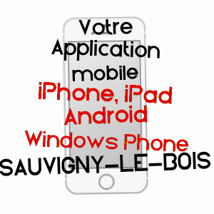 application mobile à SAUVIGNY-LE-BOIS / YONNE