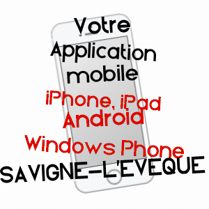 application mobile à SAVIGNé-L'EVêQUE / SARTHE