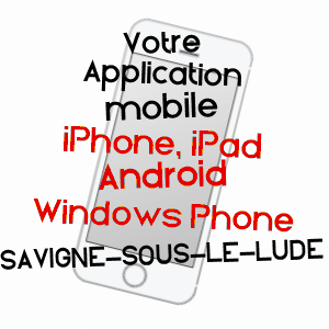 application mobile à SAVIGNé-SOUS-LE-LUDE / SARTHE