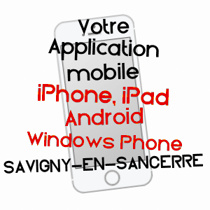 application mobile à SAVIGNY-EN-SANCERRE / CHER