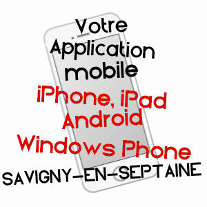 application mobile à SAVIGNY-EN-SEPTAINE / CHER