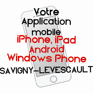 application mobile à SAVIGNY-LéVESCAULT / VIENNE