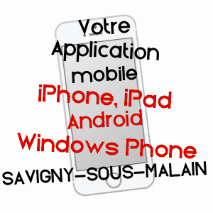 application mobile à SAVIGNY-SOUS-MâLAIN / CôTE-D'OR