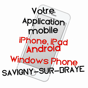 application mobile à SAVIGNY-SUR-BRAYE / LOIR-ET-CHER
