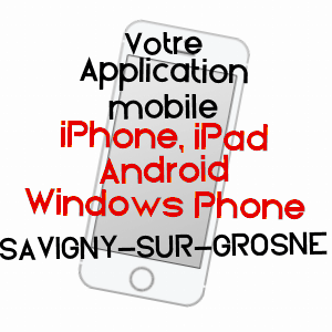 application mobile à SAVIGNY-SUR-GROSNE / SAôNE-ET-LOIRE