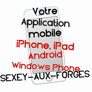 application mobile à SEXEY-AUX-FORGES / MEURTHE-ET-MOSELLE