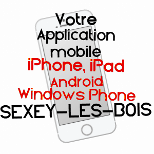 application mobile à SEXEY-LES-BOIS / MEURTHE-ET-MOSELLE