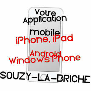 application mobile à SOUZY-LA-BRICHE / ESSONNE