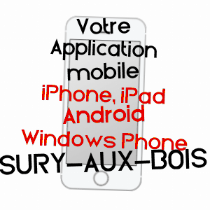 application mobile à SURY-AUX-BOIS / LOIRET