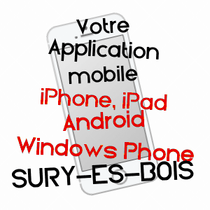 application mobile à SURY-èS-BOIS / CHER