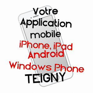 application mobile à TEIGNY / NIèVRE