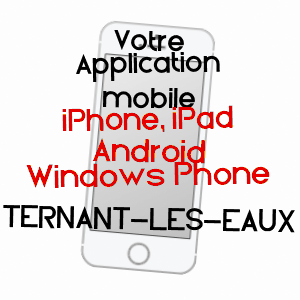 application mobile à TERNANT-LES-EAUX / PUY-DE-DôME