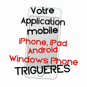 application mobile à TRIGUèRES / LOIRET