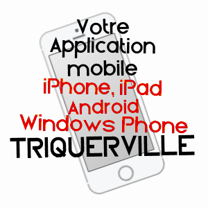 application mobile à TRIQUERVILLE / SEINE-MARITIME