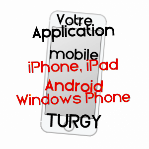 application mobile à TURGY / AUBE