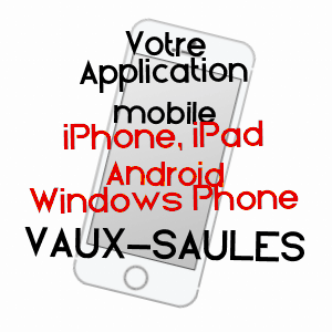 application mobile à VAUX-SAULES / CôTE-D'OR