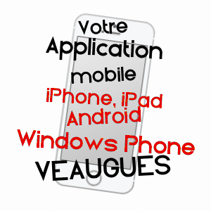 application mobile à VEAUGUES / CHER