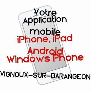 application mobile à VIGNOUX-SUR-BARANGEON / CHER