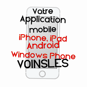 application mobile à VOINSLES / SEINE-ET-MARNE