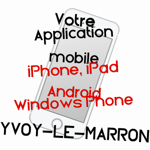 application mobile à YVOY-LE-MARRON / LOIR-ET-CHER